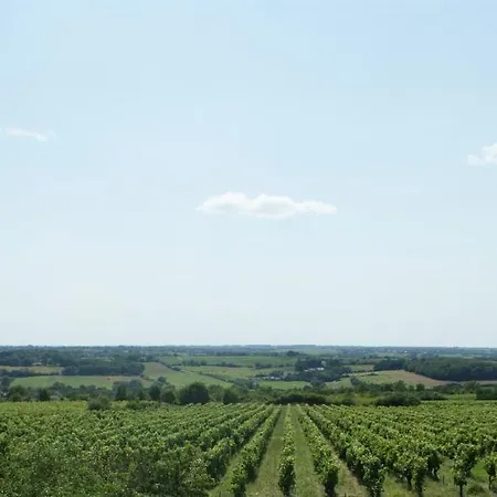 Domaine Des Ortinieres * Beaulieu-sur-Layon