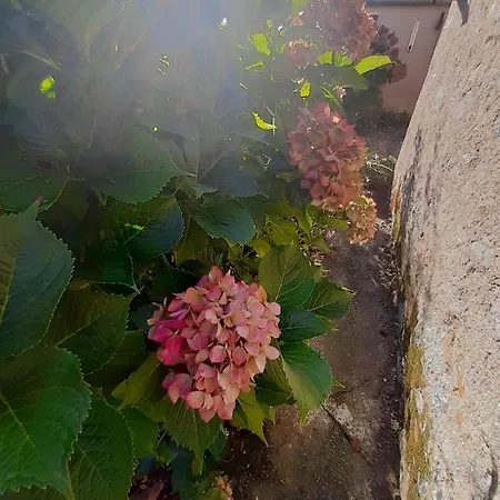 Maison à la campagne - piscine *