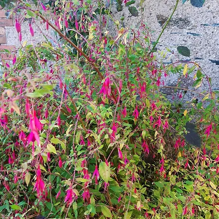 Maison à la campagne - piscine Casa vacanze