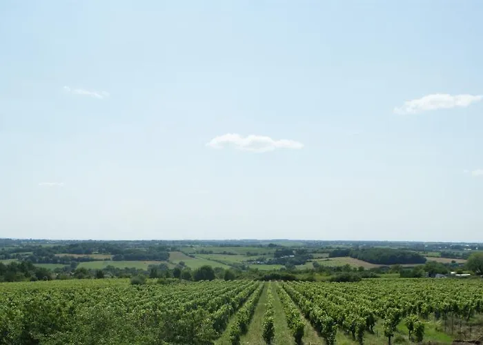 Domaine Des Ortinieres * Beaulieu-sur-Layon